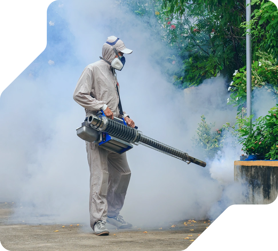 Fumigation