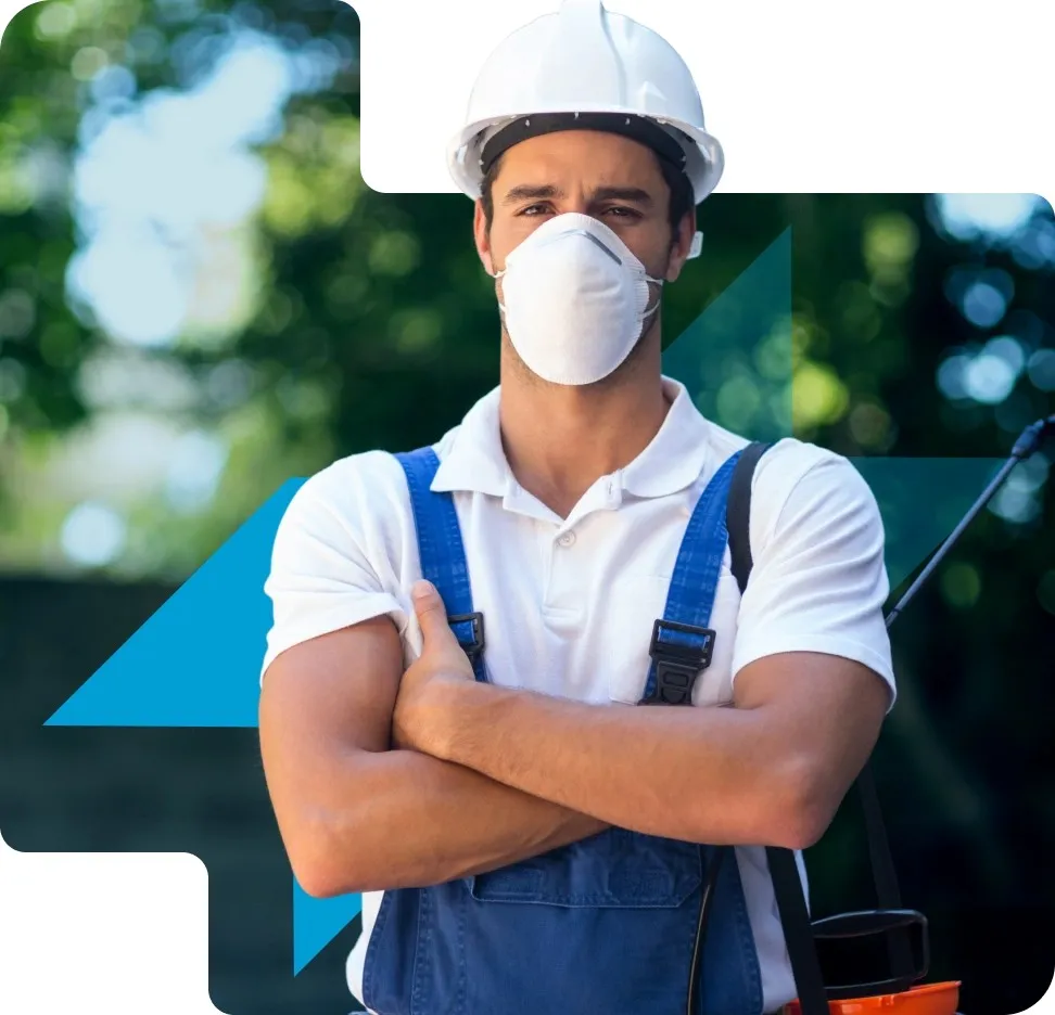 Pest Control in the UAE
