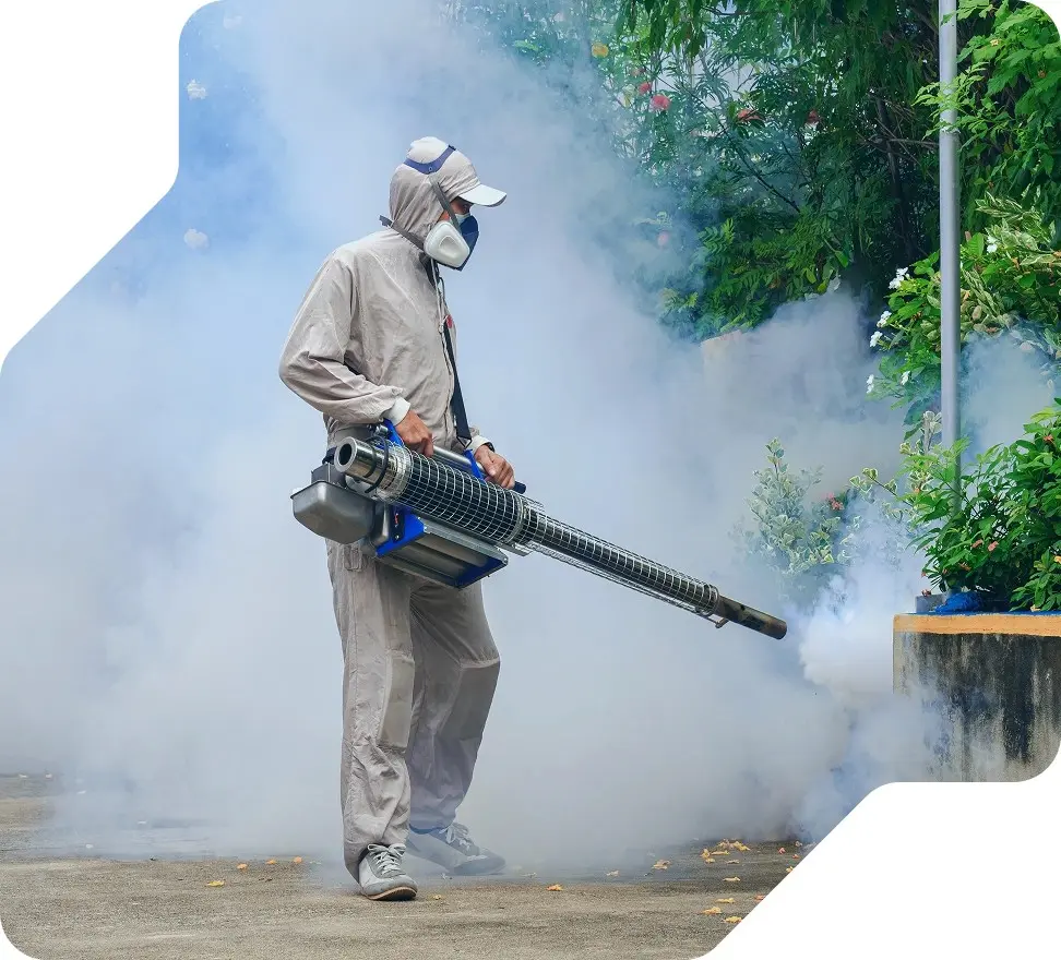 Fumigation Services