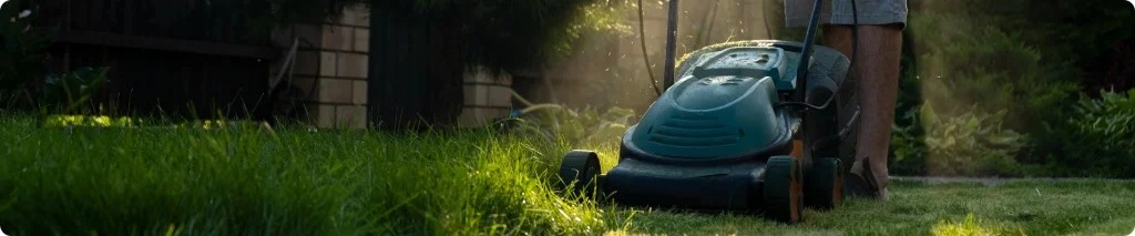 Professional Landscaping Service