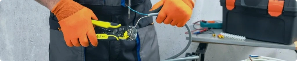 Professional Maintenance service