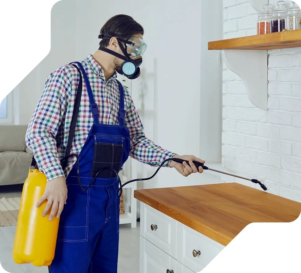Termite Control services