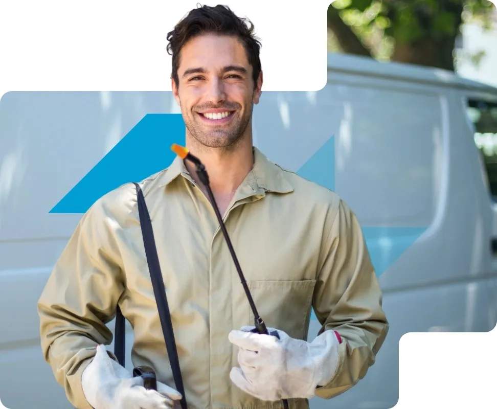 Ant Control Services in Dubai