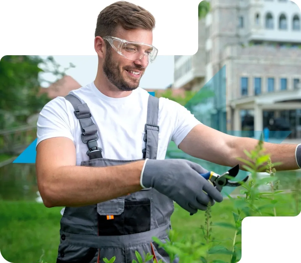 Landscaping Services in Dubai