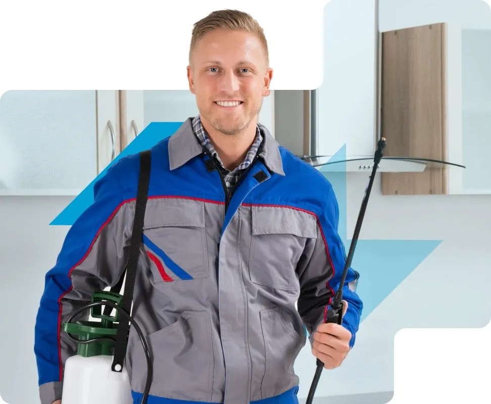 Termite Control