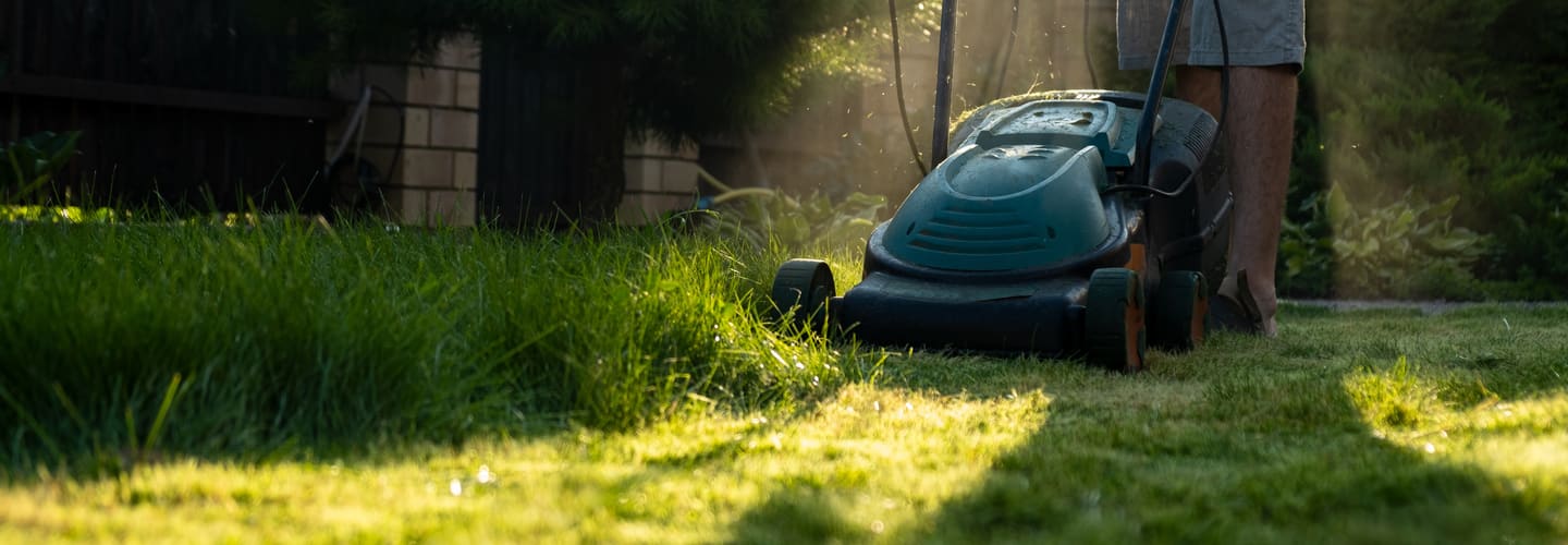 Professional Landscaping Service